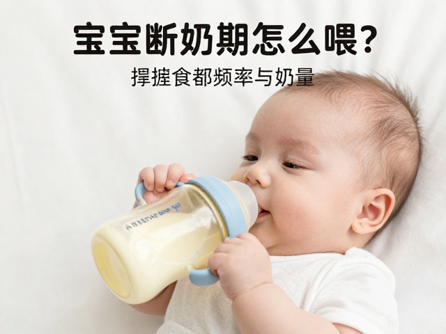 宝宝断奶期怎么喂？掌握喂食频率与奶量，快速建立亲子信任