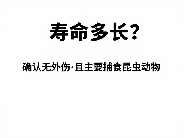 寿命多长?确认无外伤且主要捕食昆虫的动物有哪些