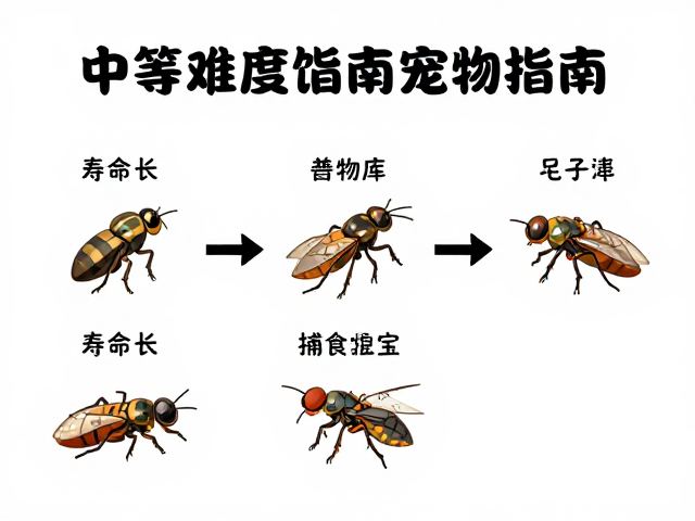 中等难度饲养指南,寿命长且主要捕食昆虫的宠物推荐