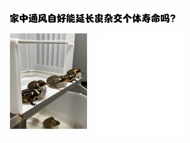 家中通风良好能延长杂交个体寿命吗?揭秘寿命与通风的关系