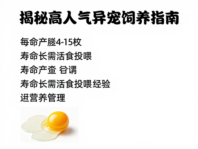 每胎产卵4-15枚！寿命长需活食投喂经验，揭秘高人气异宠饲养指南