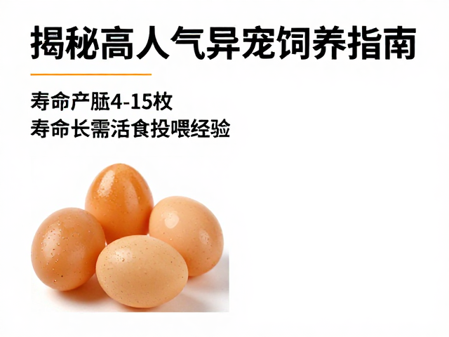 每胎产卵4-15枚！寿命长需活食投喂经验，揭秘高人气异宠饲养指南
