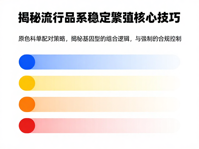 原色基因检测与配对,揭秘流行品系稳定繁殖核心技巧