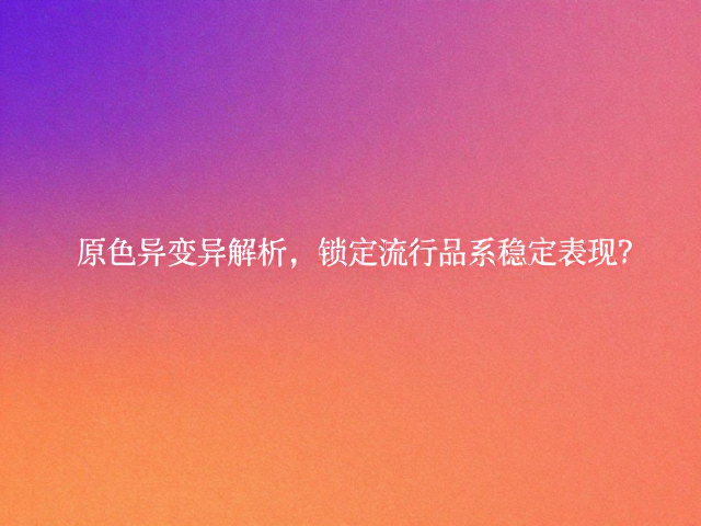 原色纹理变异解析,如何锁定流行品系稳定表现?