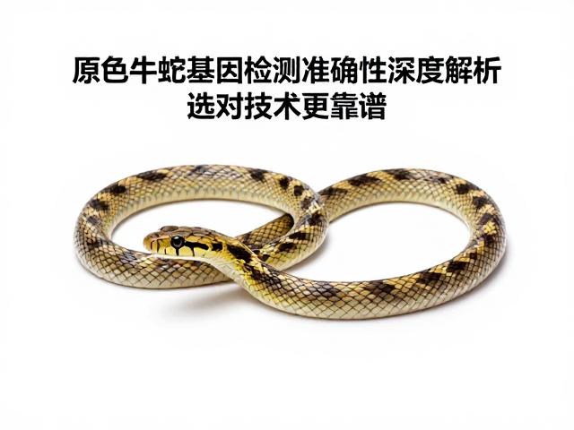 原色牛蛇基因检测准确性深度解析，选对技术更靠谱