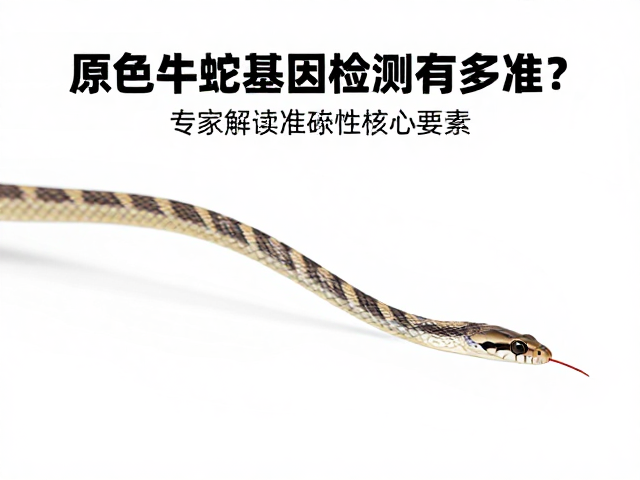 原色牛蛇基因检测有多准?专家解读准确性核心要素