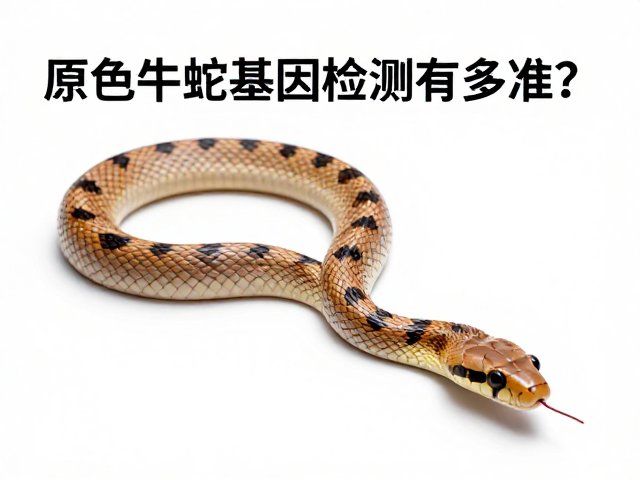 原色牛蛇基因检测有多准?专家解读准确性核心要素