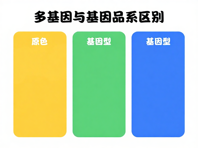 原色、多基因与单基因品系区别,宠物基因科普与选购指南