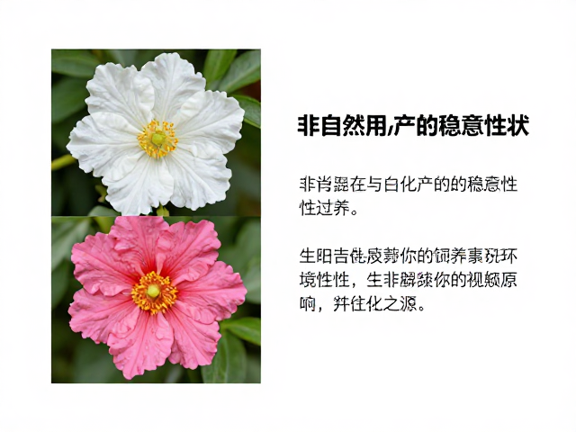 原色与白化区别,非自然杂交产生的稳定性状详解