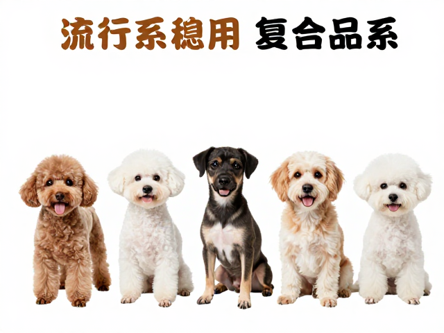 原色、流行品系稳定与复合品系,宠物繁育核心逻辑与流量趋势解析