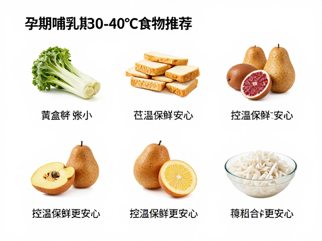 孕期哺乳期30-40℃食物推荐,控温保鲜更安心