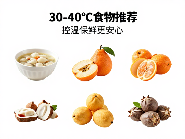 孕期哺乳期30-40℃食物推荐,控温保鲜更安心