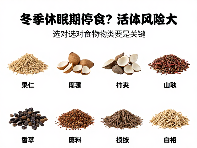 冬季休眠期停食？活体投喂风险大，选对食物种类是关键
