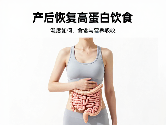 产后恢复高蛋白饮食，湿度如何影响食欲与营养吸收