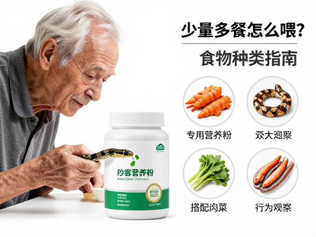 老年蛇少量多餐怎么喂?专用营养粉搭配食物种类指南