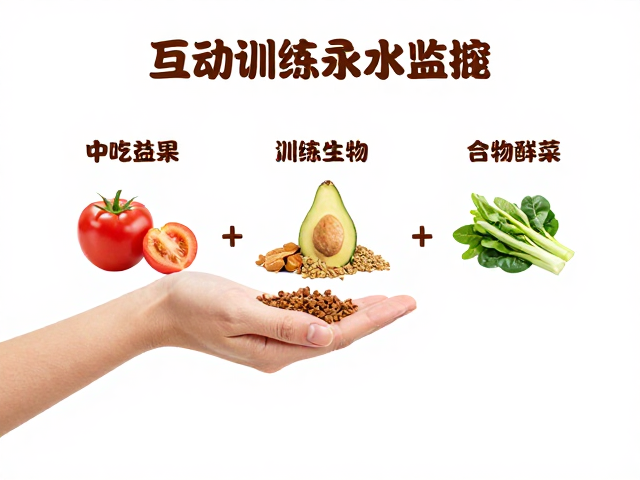 手喂互动训练，水分监控，科学喂养指南与食物种类选择