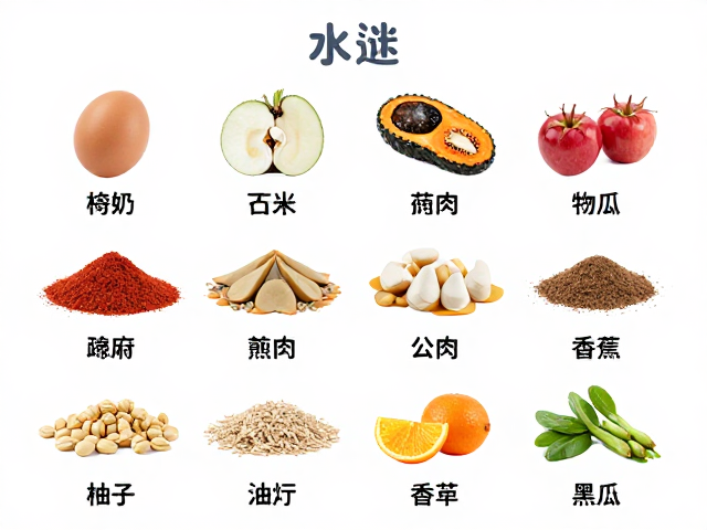 手喂互动训练，水分监控，科学喂养指南与食物种类选择