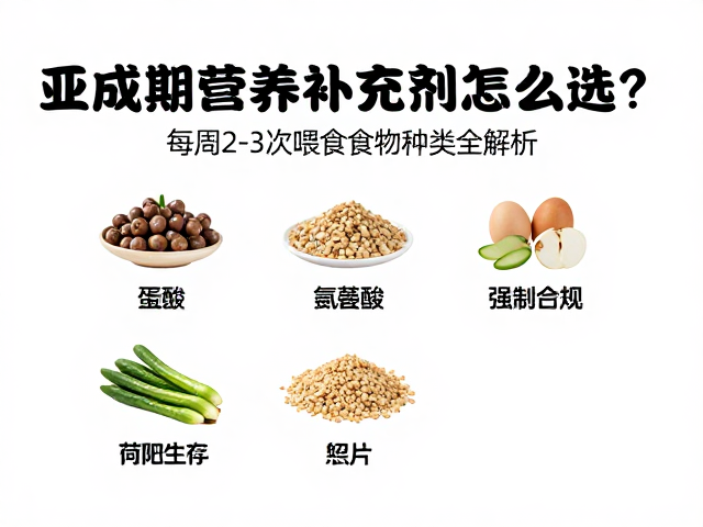 亚成期营养补充剂怎么选?每周2-3次喂食食物种类全解析