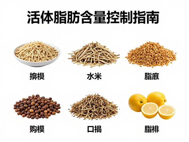 活体乳鼠脂肪含量控制指南，食物种类对营养的影响