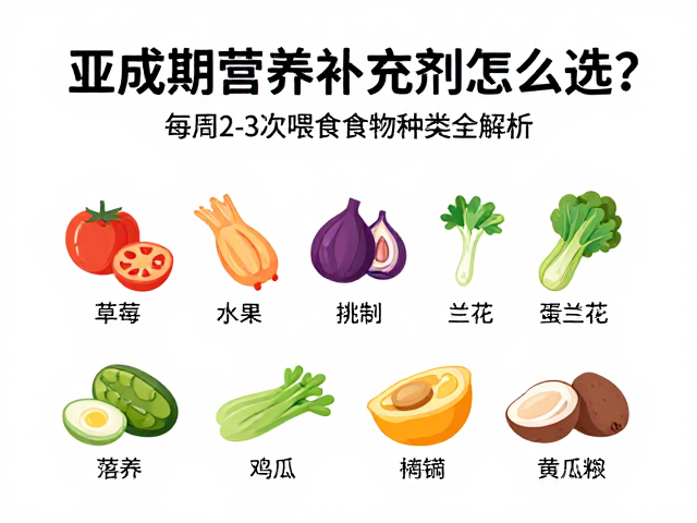 亚成期营养补充剂怎么选?每周2-3次喂食食物种类全解析