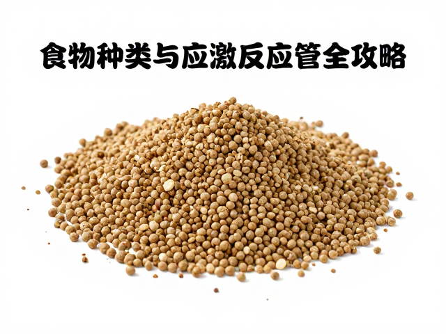 头体比1/3怎么养？食物种类与应激反应管理全攻略