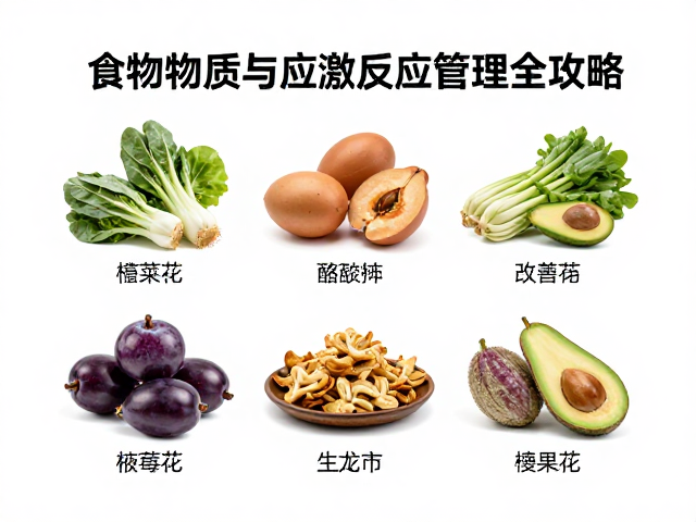 头体比1/3怎么养？食物种类与应激反应管理全攻略