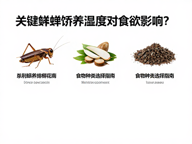 蟋蟀蟑螂饲养湿度对食欲影响?食物种类选择指南