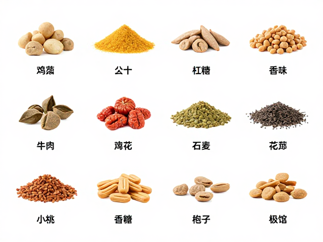 手喂互动训练，宠物补充维生素D3的食物种类全解析