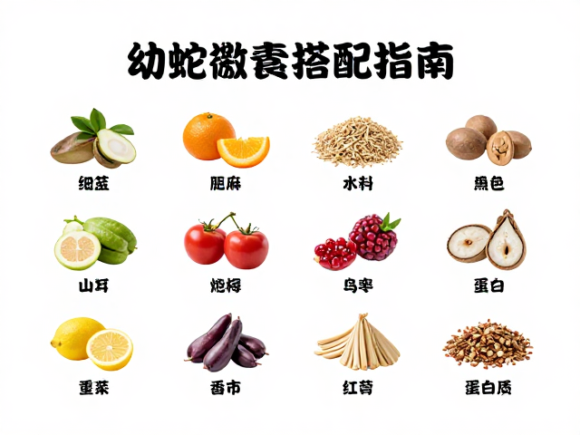 幼蛇期喂食频率与微量元素平衡,不同食物种类的科学搭配指南