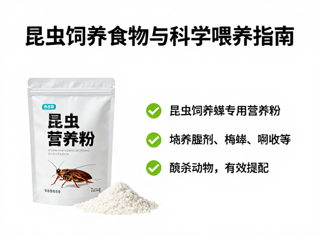 蟋蟀蟑螂专用营养粉，昆虫饲养食物种类与科学喂养指南