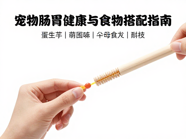 手喂互动训练选什么益生菌?宠物肠胃健康与食物搭配指南
