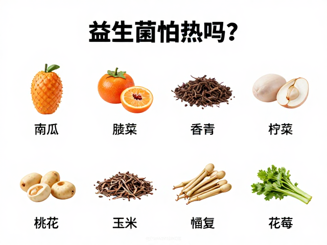 益生菌怕热吗?不同食物种类下的最佳保存温度指南