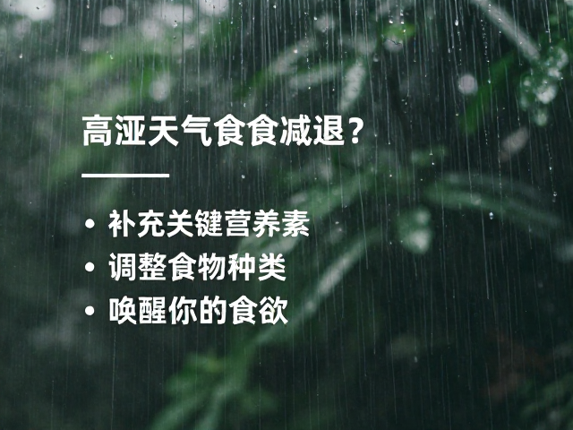 高湿天气食欲减退?补充关键营养素,调整食物种类,唤醒你的食欲