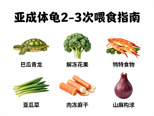 亚成体龟每周2-3次喂食指南,冷冻解冻食物种类选择与处理技巧