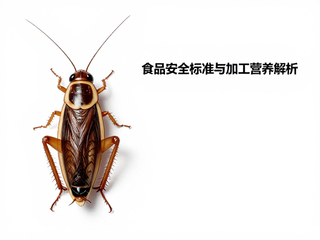 蟋蟀蟑螂头体比1/4,昆虫类食物种类与营养解析