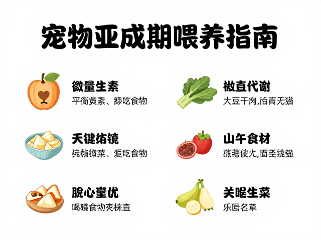 宠物亚成期喂养指南,平衡微量元素,每周2-3次关键食物种类推荐