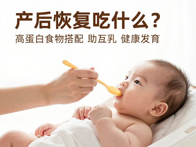 产后恢复吃什么?高蛋白食物搭配手喂互动训练助宝宝健康发育