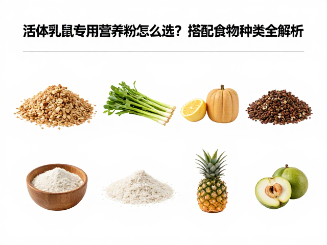 活体乳鼠专用营养粉怎么选?搭配食物种类全解析