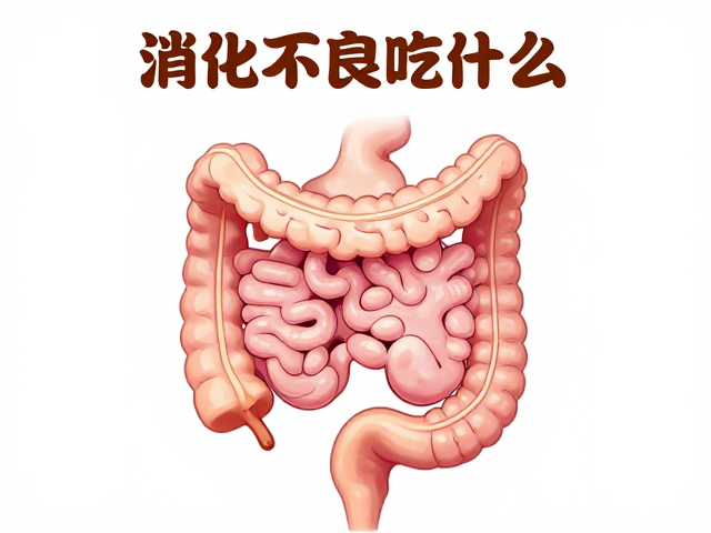 消化不良吃什么?30-40度温热食物助消化