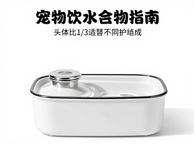 宠物饮水设备怎么选?头体比1/3适配不同食物种类指南
