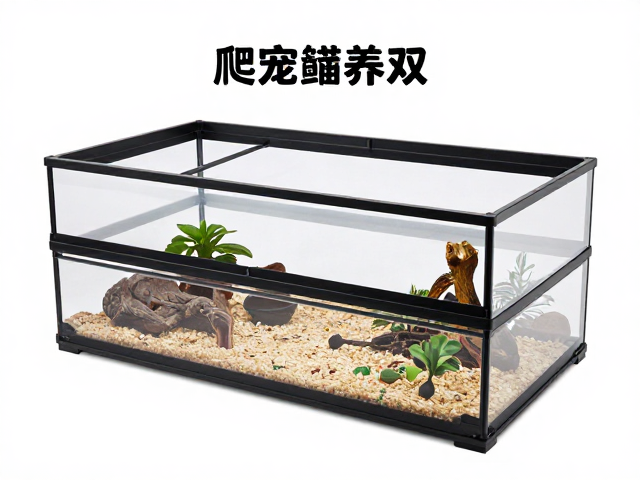 爬宠饲养箱布局与灌食辅助法，食物种类选择指南