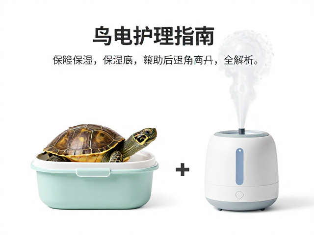 乌龟蜕皮护理指南,保湿盒辅助与加湿盒使用全解析