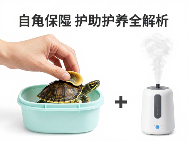 乌龟蜕皮护理指南,保湿盒辅助与加湿盒使用全解析