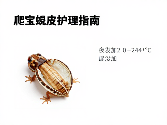 爬宠蜕皮护理指南,夜间20-24°C适宜温度助顺利蜕皮