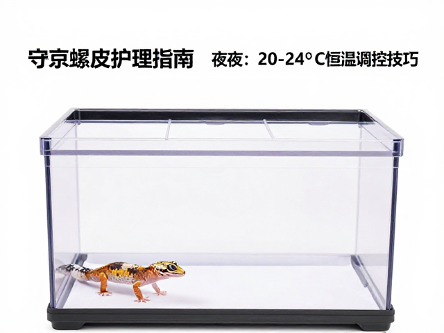 守宫蜕皮护理指南，饲养箱布置与夜间20-24&deg;C恒温调控技巧