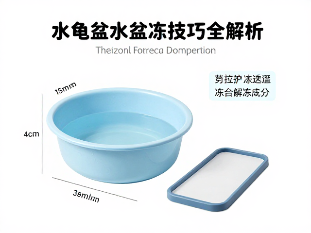 乌龟蜕皮护理指南,水盆大小选择与冷冻解冻技巧全解析