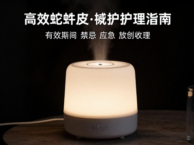 夜间20-24&deg;C配合加湿盒，高效蛇蜕皮护理指南