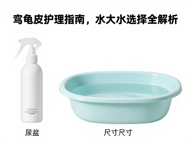 乌龟蜕皮护理指南,喷雾保湿与水盆大小选择全解析