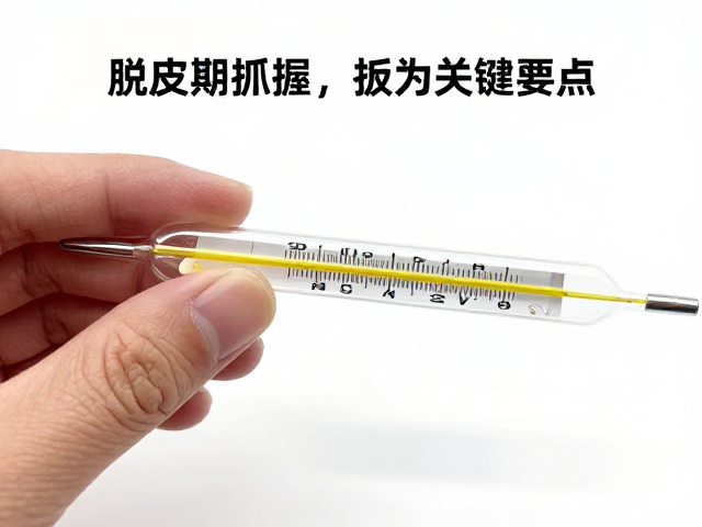 蛇蜕皮期护理,温度计监测与脱皮期不抓握的关键要点