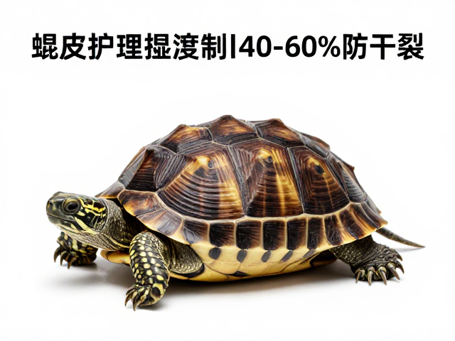 龟壳蜕皮护理指南,湿度控制在40-60%防干裂